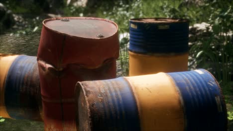 Rusty-barrels-in-green-forest